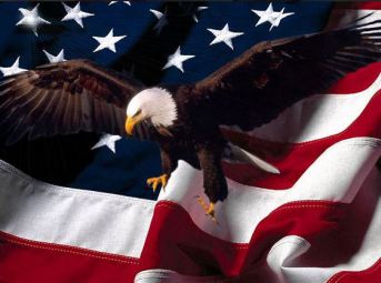 American Flag and bald eagle