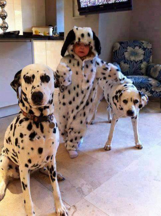 FB_IMG_1501806514034