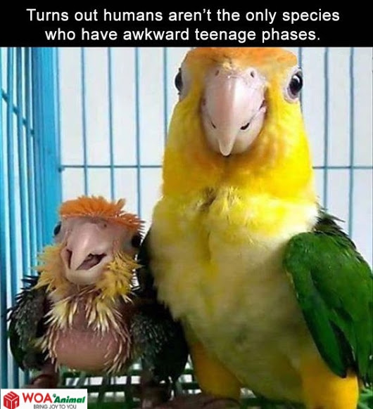 43f31492329a5412c93ae7ce972be571